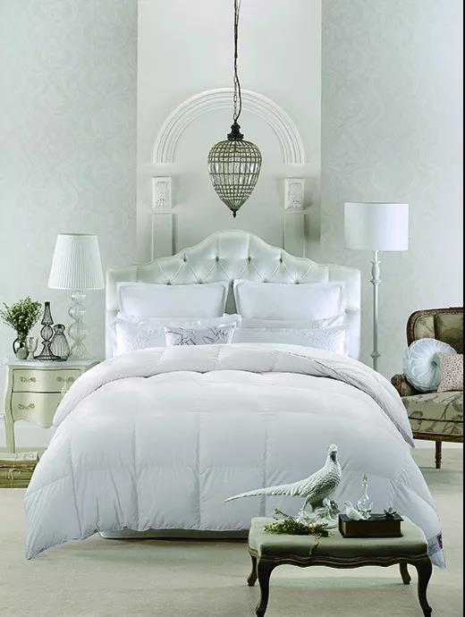 ����Ʒ�Z�q������(bi��o)��(zh��n)���_���쿴�����I�ı����_(d��)��(bi��o)�˛]��