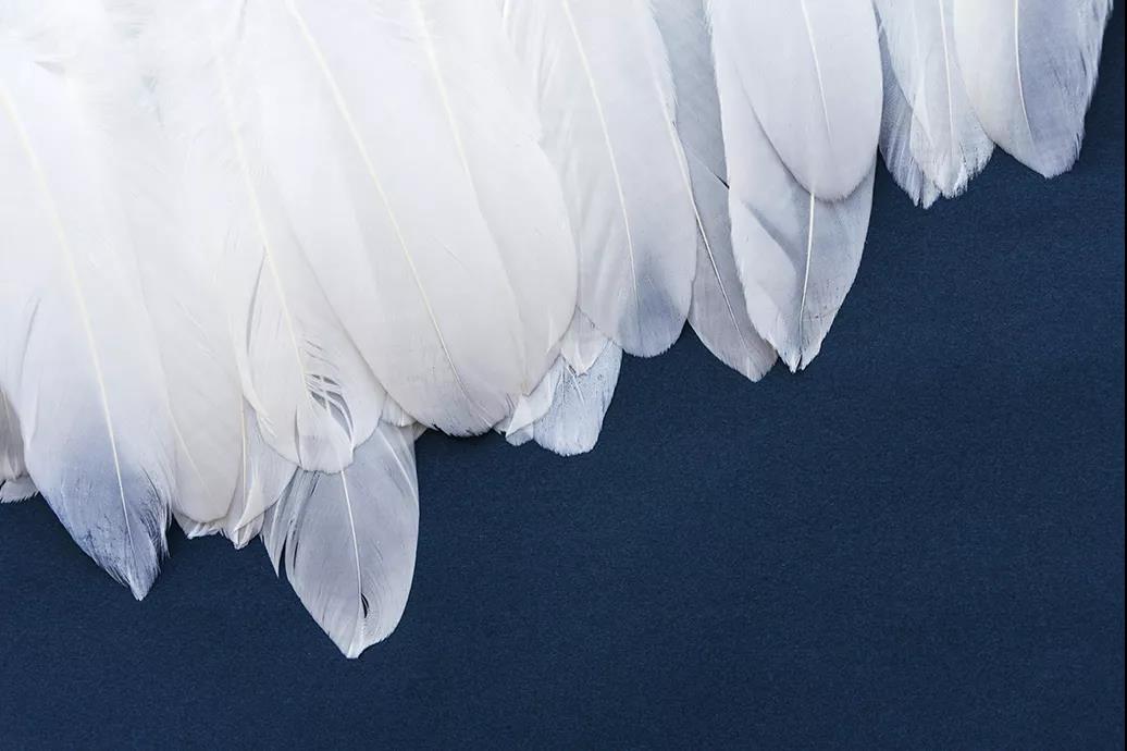 ����Ʒ�Z�q������(bi��o)��(zh��n)���_���쿴�����I�ı����_(d��)��(bi��o)�˛]��