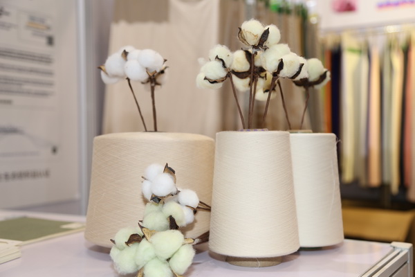 ��չ���ȇ��H�Ј��������ИI�a�I���ģ�����2022�Ї��B�d�򴺼���������Ļ